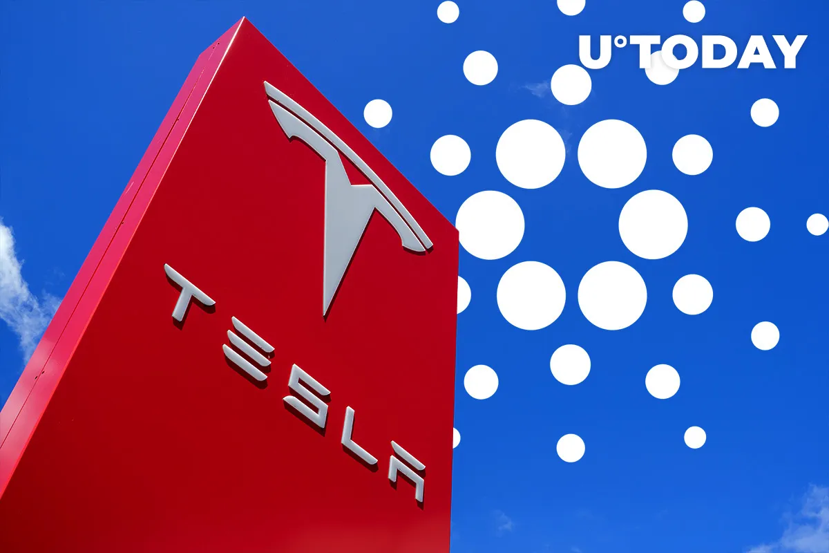 Cardano Foundation Says ADA Is Perfect Match for Tesla as Token Defies Crypto Crash with New All-Time High