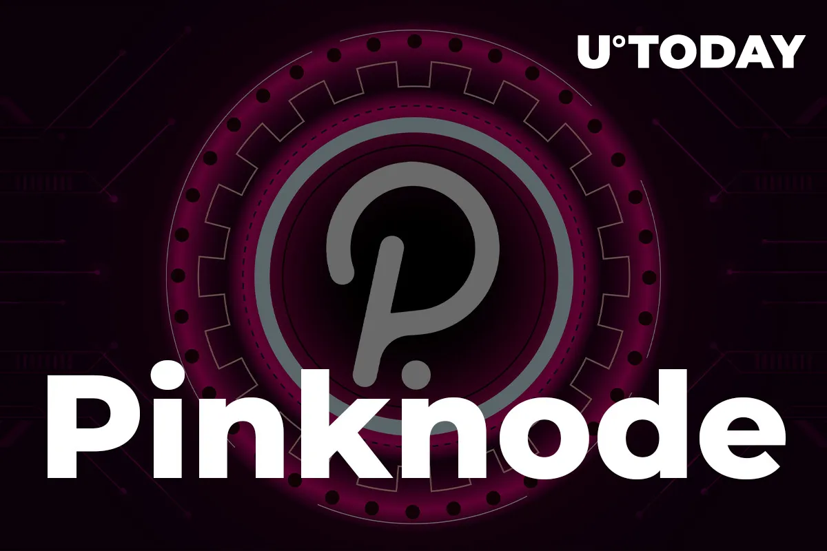 Polkadot-Based Pontem Framework Partners with Pinknode Infrastructure Provider: Details
