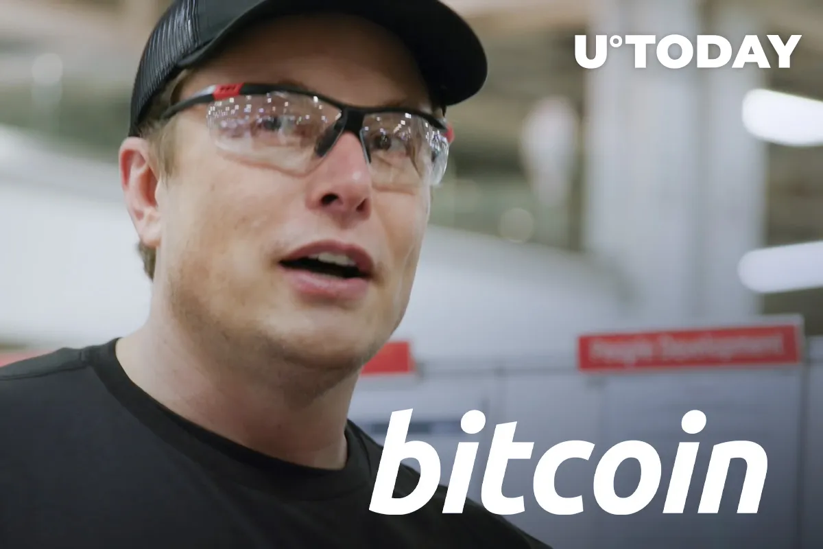 Is Elon Musk Shilling Bitcoin Again? See New Meme He's Just Published