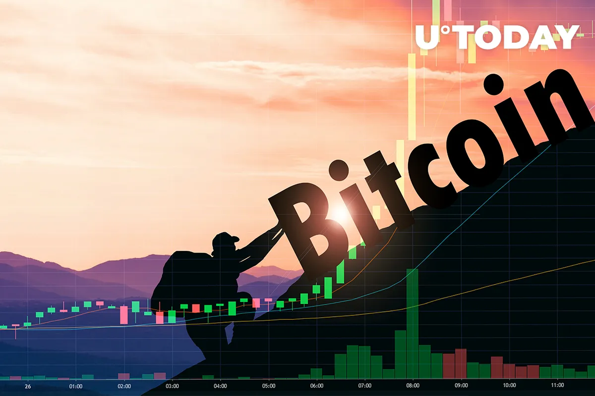 Institutional Investors and Whales Are the Ones Pushing Bitcoin Price Up: PwC Service Network