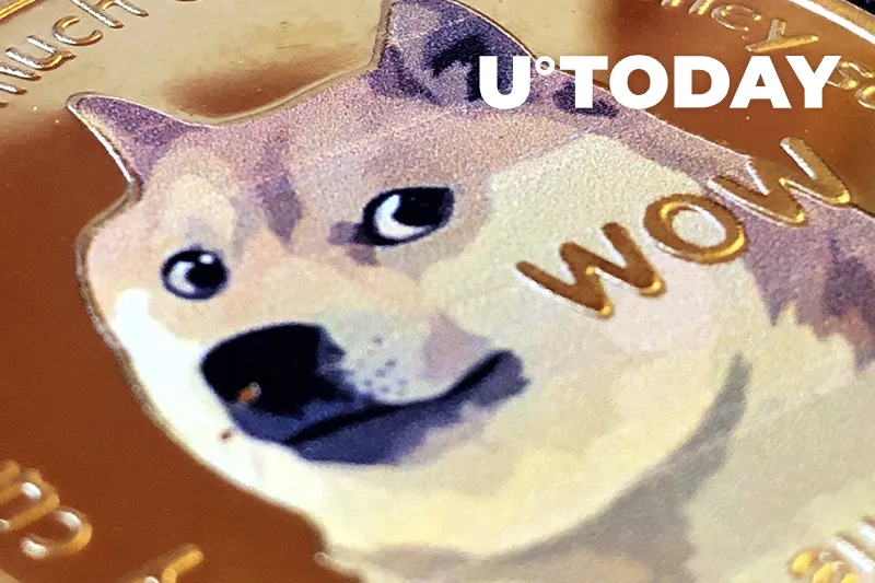 Dogecoin Remains Robinhood's Bread and Butter
