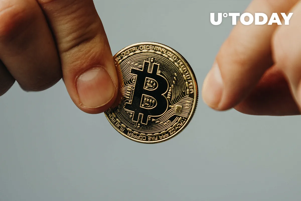 Bitcoin Long-Term Holders Stock up on Bitcoin as This Index Goes Green
