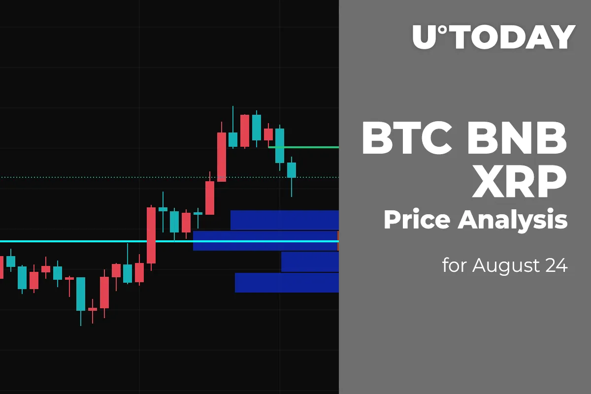 BTC, BNB and XRP Price Analysis for August 24