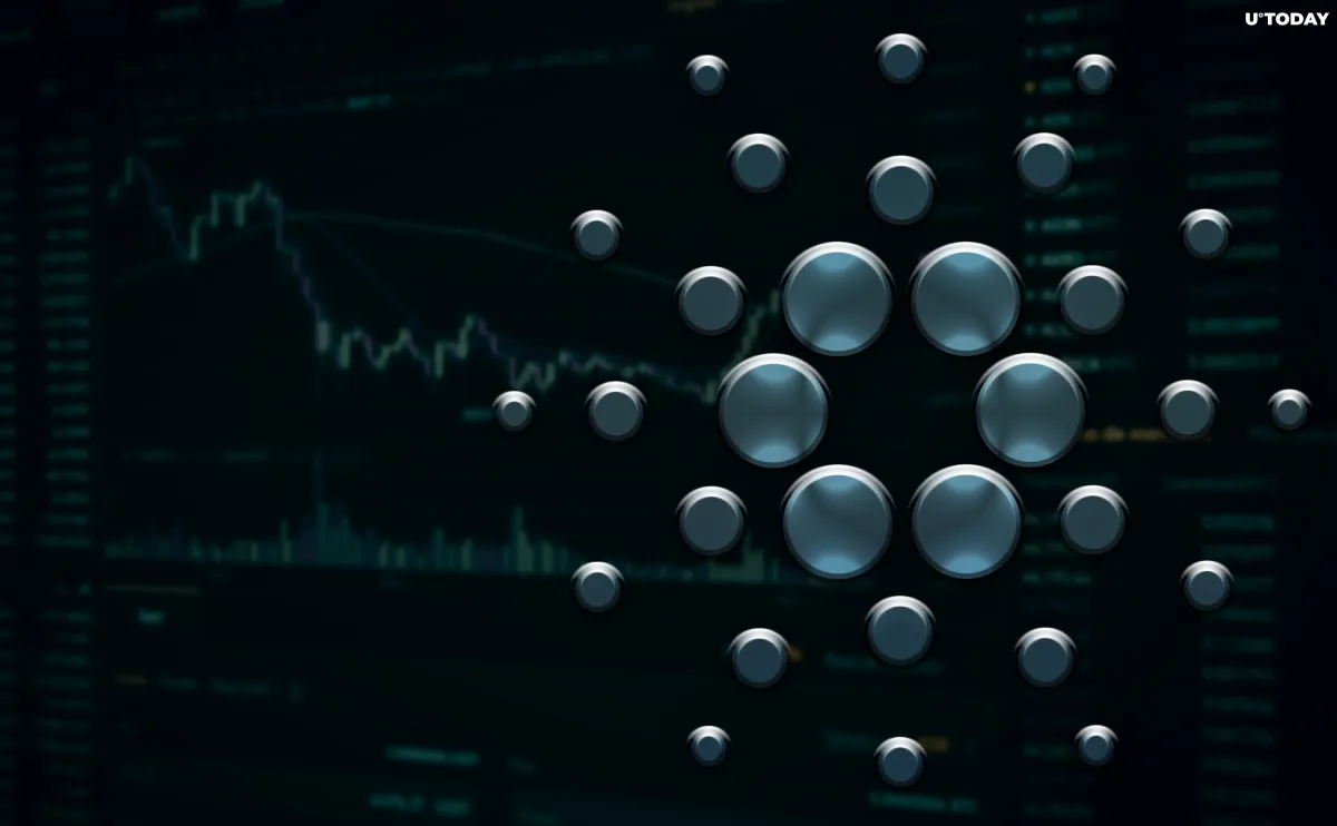 Cardano Plunges 13 Percent Despite Smart Contract Launch