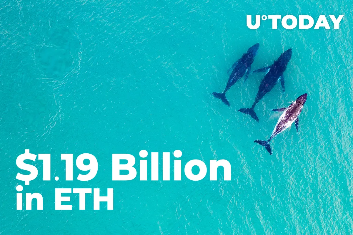 $1.19 Billion in ETH Shoveled by Whales and Top Exchanges as ETH Rises Above $3,600