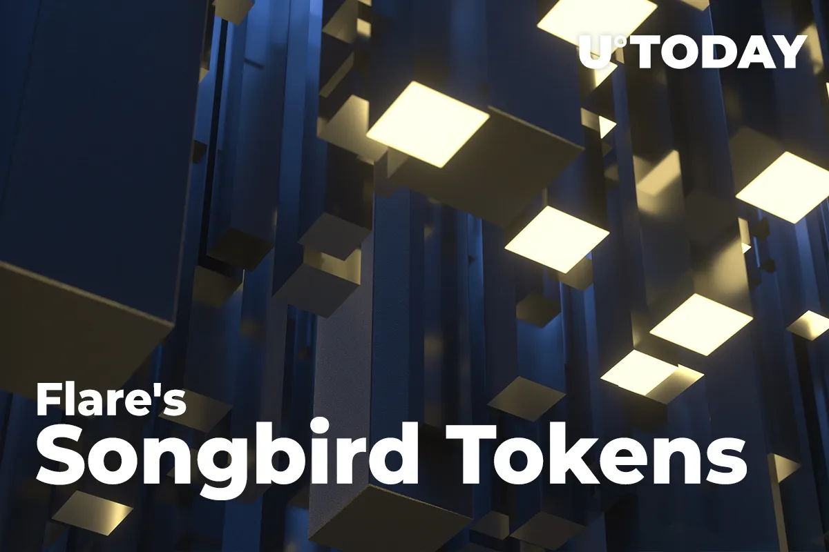 Flare's Songbird Tokens Now Integrated by Institution-Grade Custody