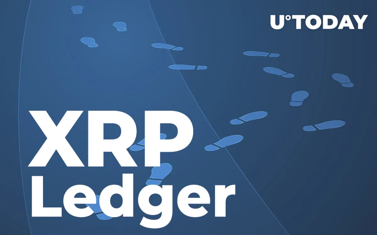 XRP Ledger Is Back on Track After Temporary Halt