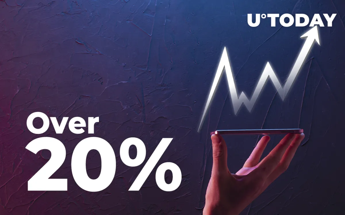 Ethereum Layer 2 Solutions Show Over 20% Growth Following Coin's ATH