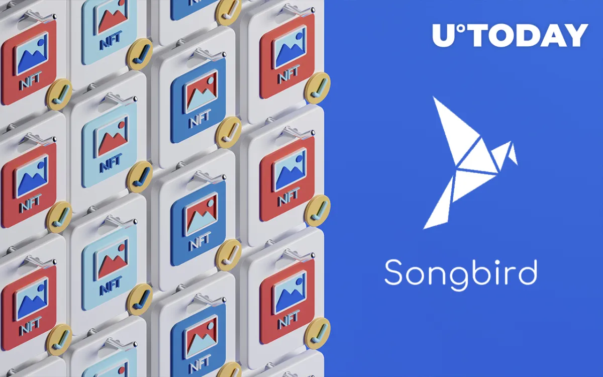NFT Collection Goes Live on Flare's Songbird: Details