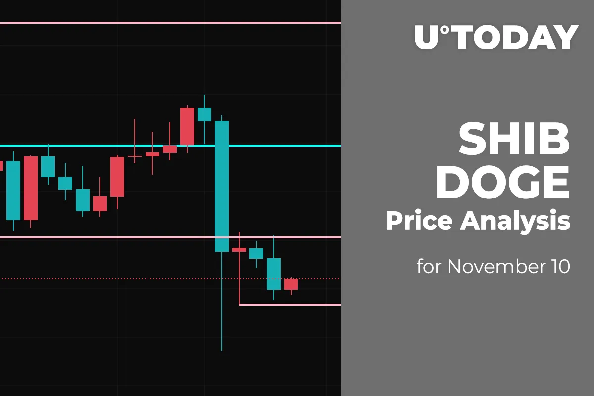 SHIB and DOGE Price Analysis for November 10