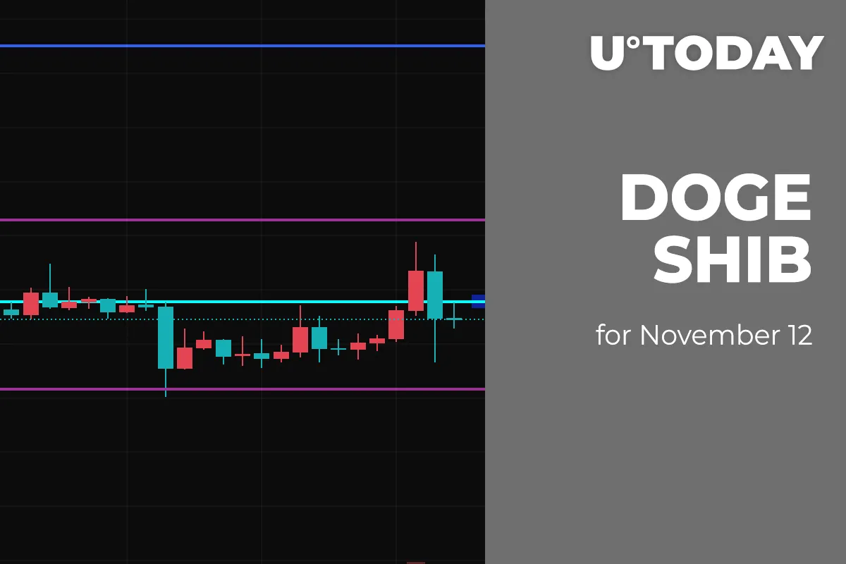 DOGE and SHIB Price Analysis for November 12