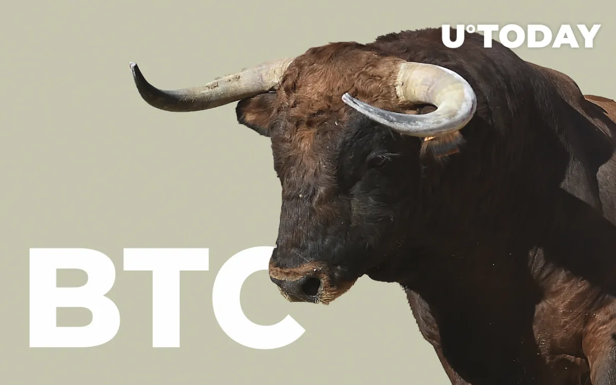 Crypto Analyst Shared One More Simple Indicator for BTC Bull Run Peak