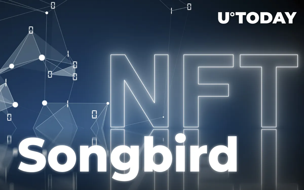 Flare Community NFTs Go Live on Songbird: Details