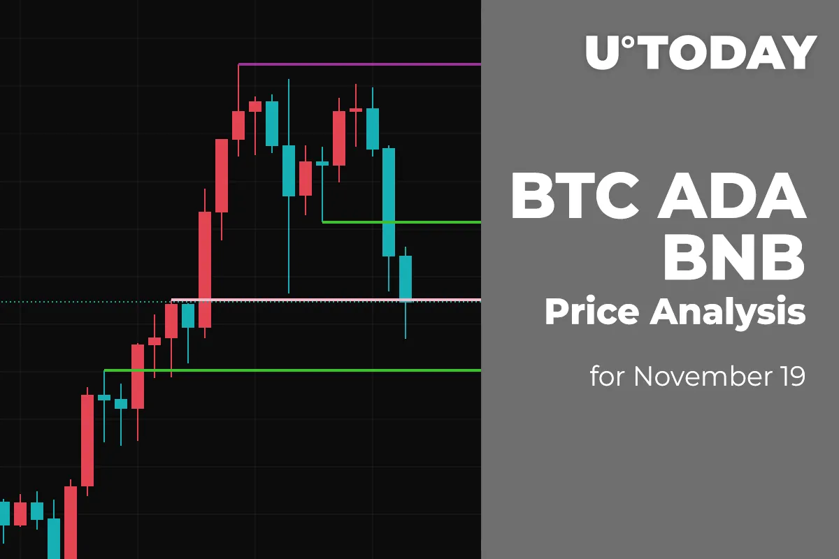 BTC, ADA and BNB Price Analysis for November 19