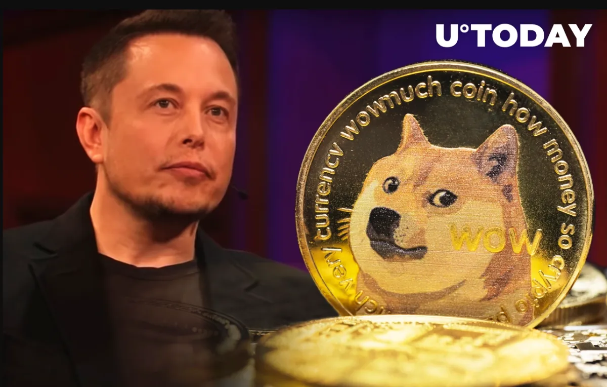 Elon Musk Urges Dogecoin Holders to Abandon Centralized Exchanges