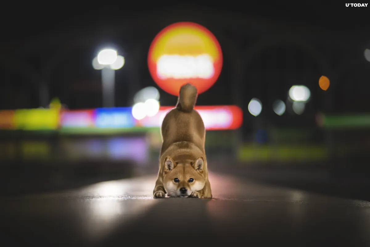 Is Shiba Inu Undervalued at 40% Off All-Time High?