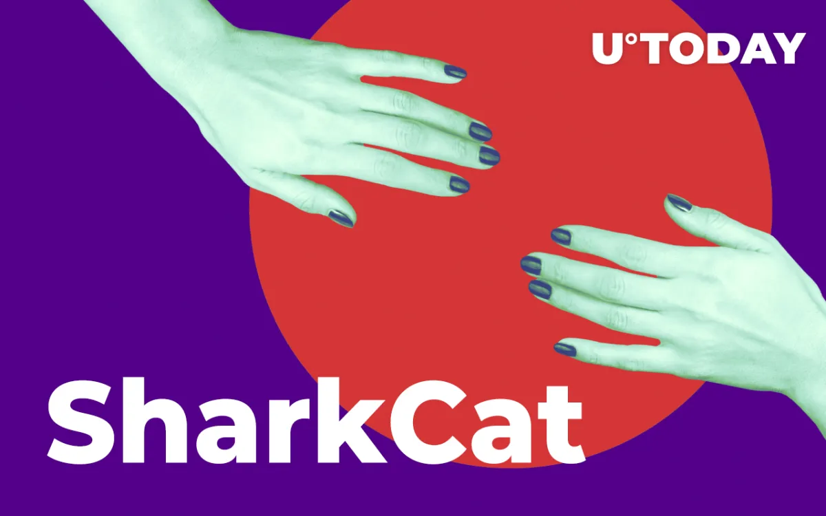 SharkCat Team Shares Details of OpenSea Release, Announces Art Contest and NFT Giveaway