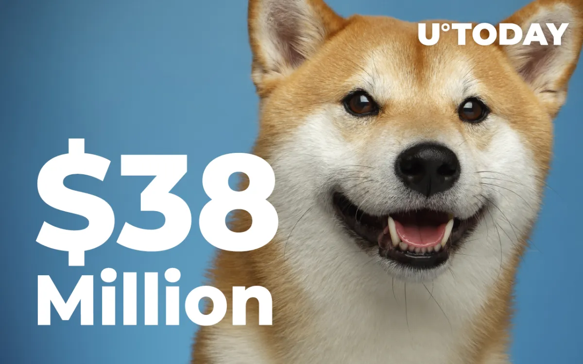 New Shiba Whale Buys $38 Million Worth of Tokens