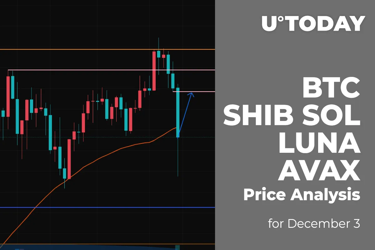 BTC, SHIB, SOL, LUNA and AVAX Price Analysis for December 3