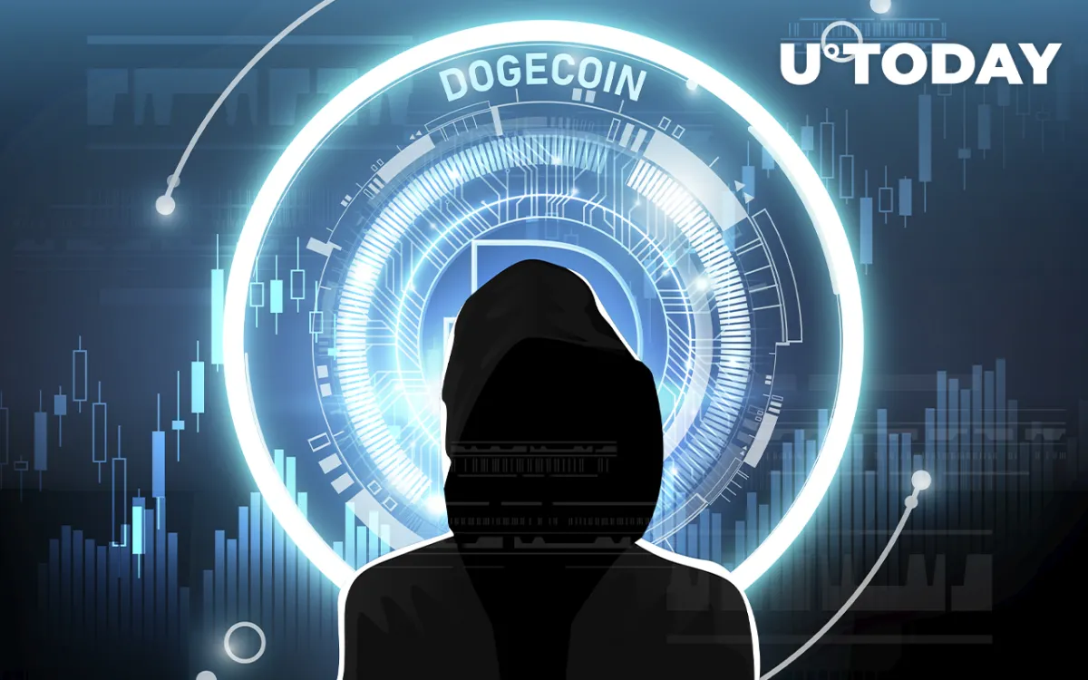 $850 Million Worth of Doge Transferred Anonymously Before Elon Musk's Announcement