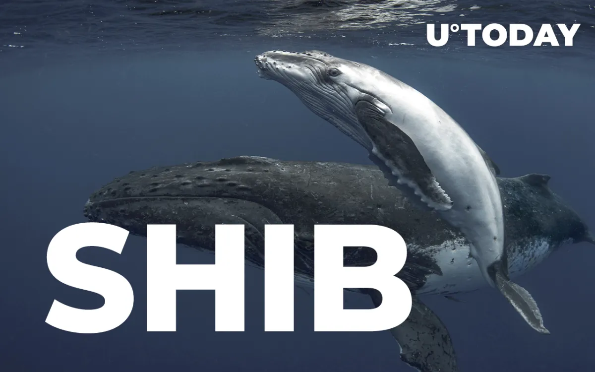 Shiba Inu Whales Lose More Than $150 Million in 24 Hours: Potential Reasons