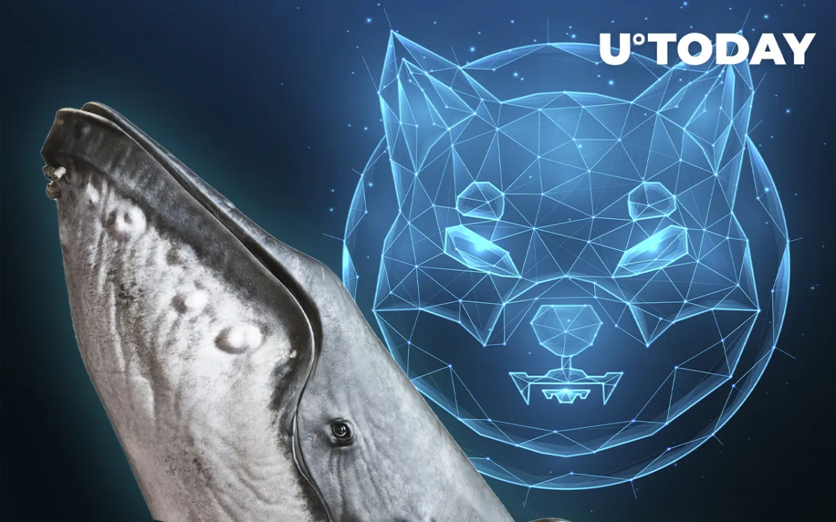 34 Billion SHIB Acquired by 13th Biggest Whale "Tsunade," Adding up to 163.2 Billion SHIB