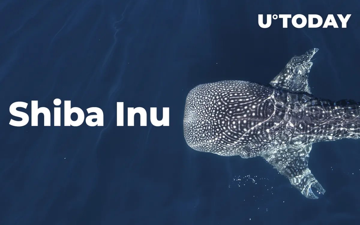 Shiba Inu Whales Bought More Than $200 Million Worth of Tokens Amid Asset's 22% Run