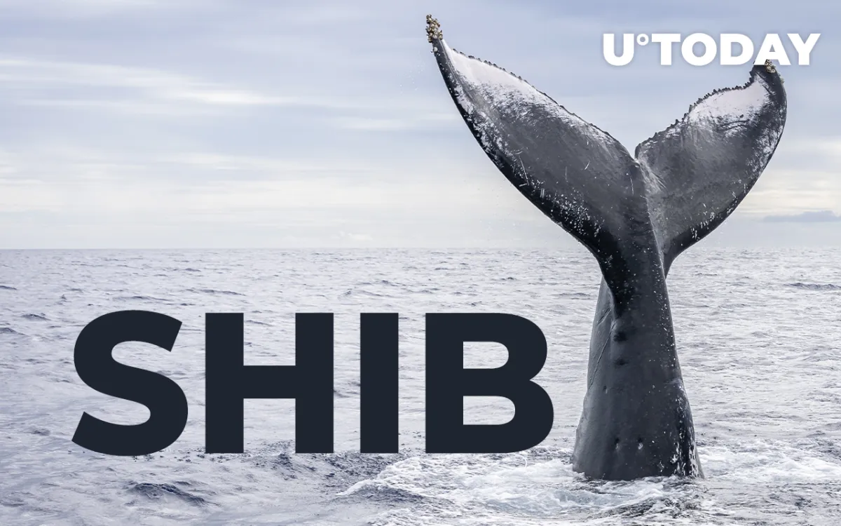Shiba Inu Whales Hold 26% of Supply as Net Flow Rises by 176%
