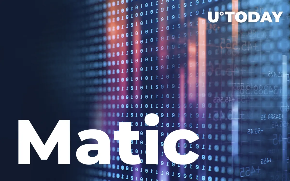 As Matic Updates Its ATH, Its Network Continues to Grow