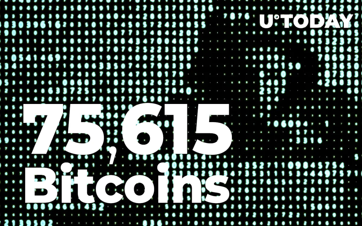 75,615 Bitcoins Wired by Anonymous Wallets as BTC Dives Below $50,000