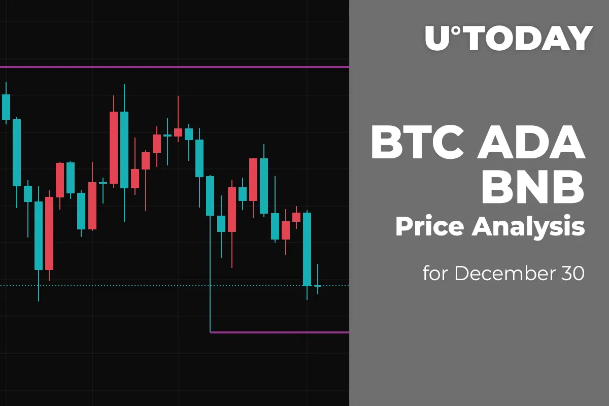BTC, ADA and BNB Price Analysis for December 30