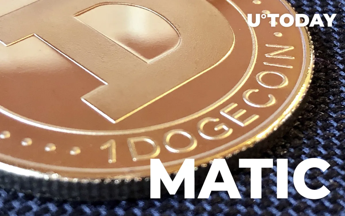 Whales Shift $2.4 Million Worth of DOGE and $86 Million in MATIC Over Past Hour