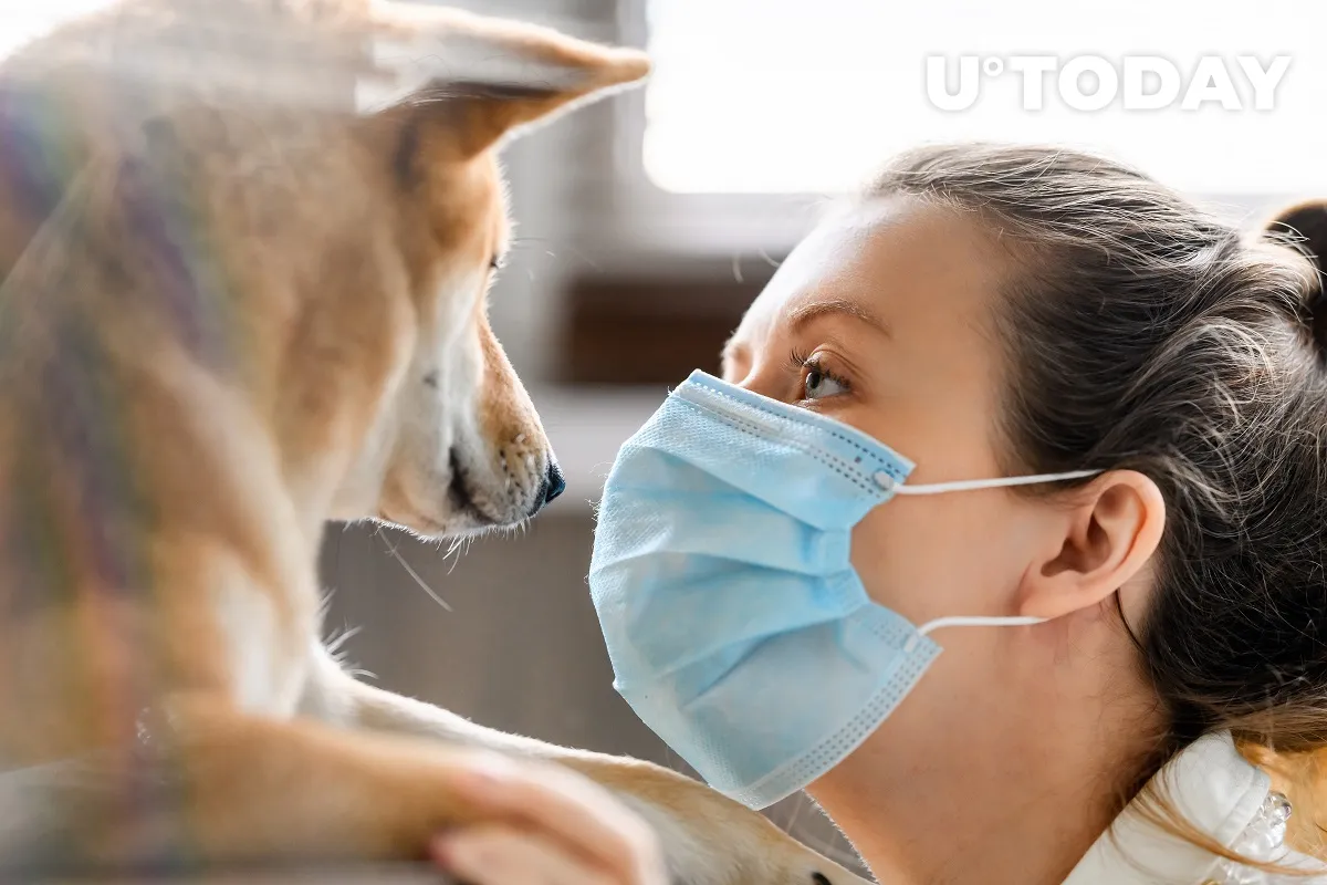Healthcare Company Adds Shiba Inu to Its Balance Sheet