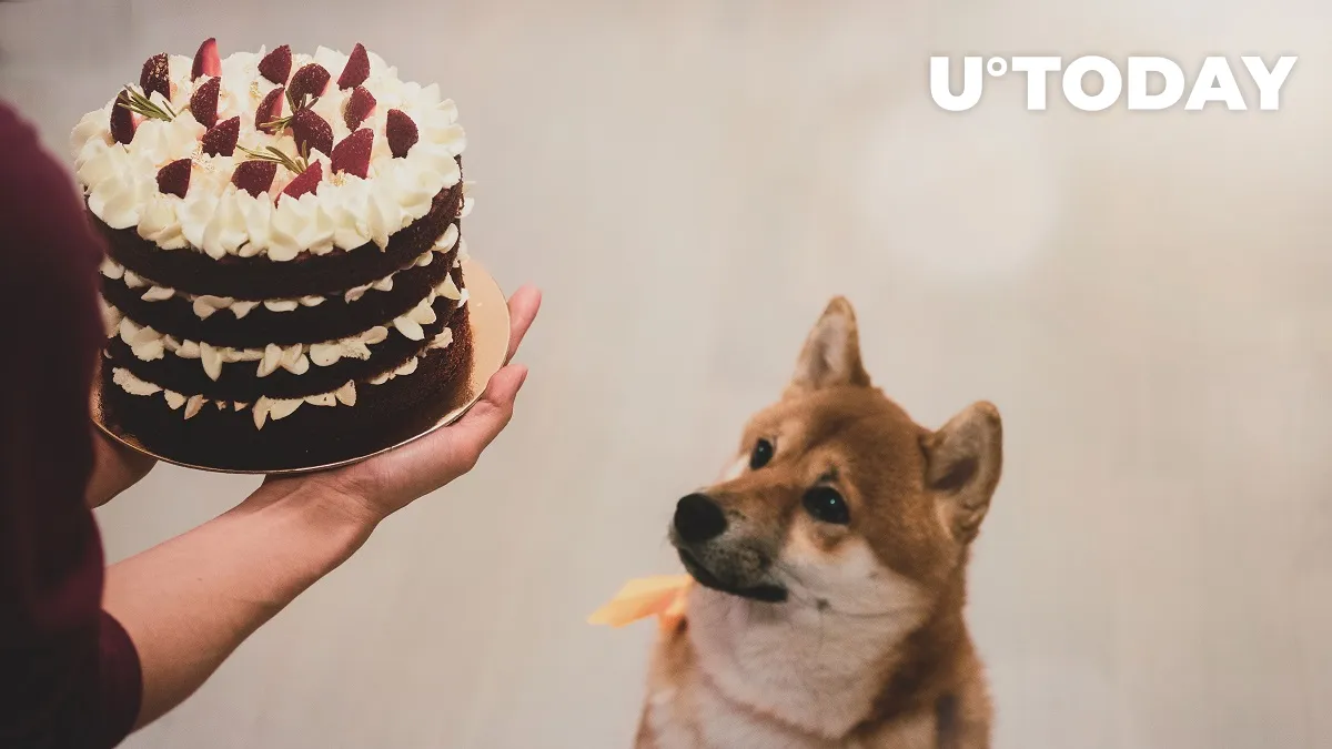 Dogecoin, Elon Musk’s Favorite Cryptocurrency, Turns 8. Here’s How It Has Performed This Year