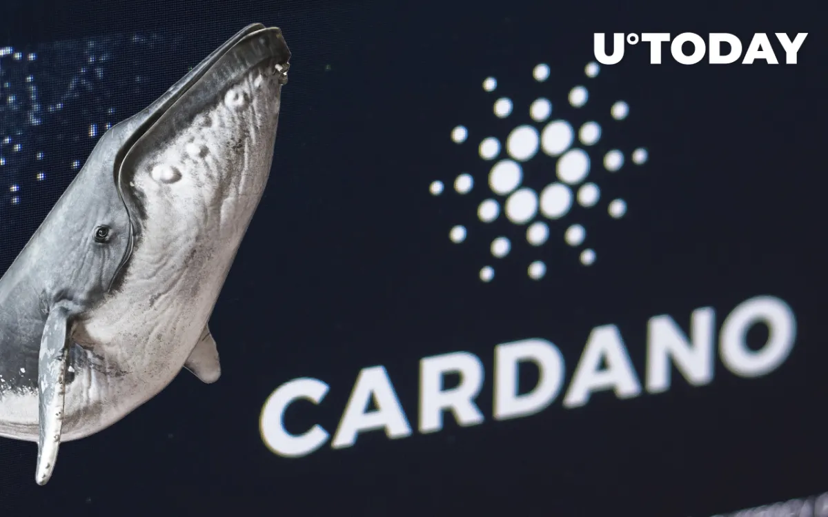 Cardano Records Staggering 15,000% Increase in Whale Addresses from December: Details