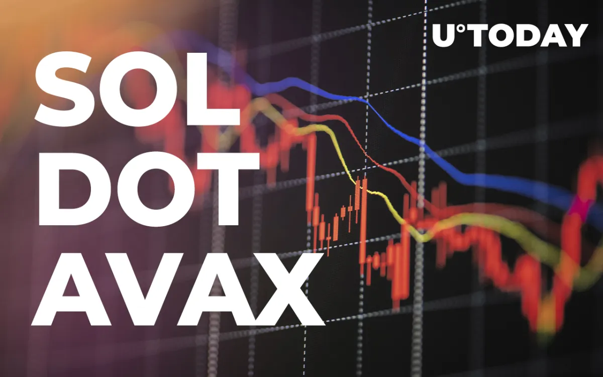 SOL, DOT and AVAX Are Among Biggest Losers on Market With 12% Loss in 24 Hours