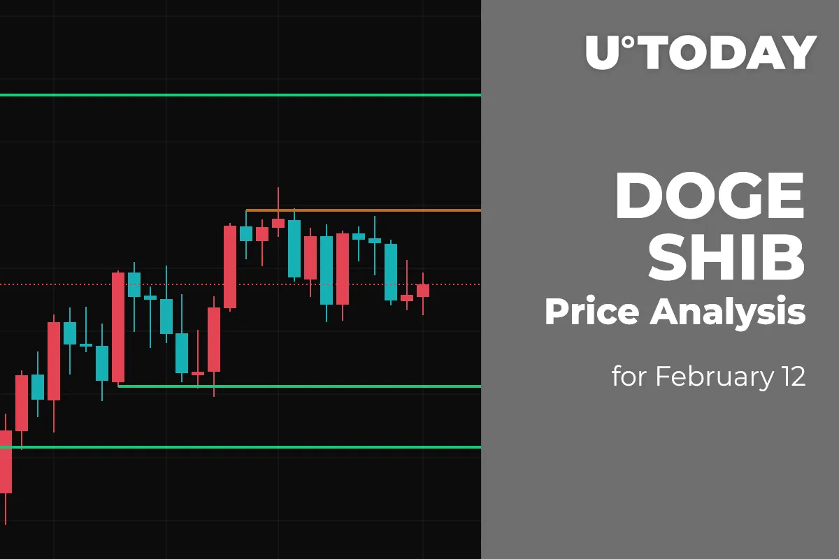 DOGE and SHIB Price Analysis for February 12