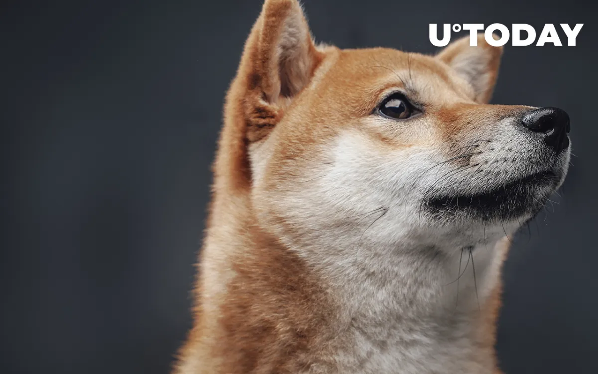 Shiba Inu Outperforms Majority of Cryptocurrency Market