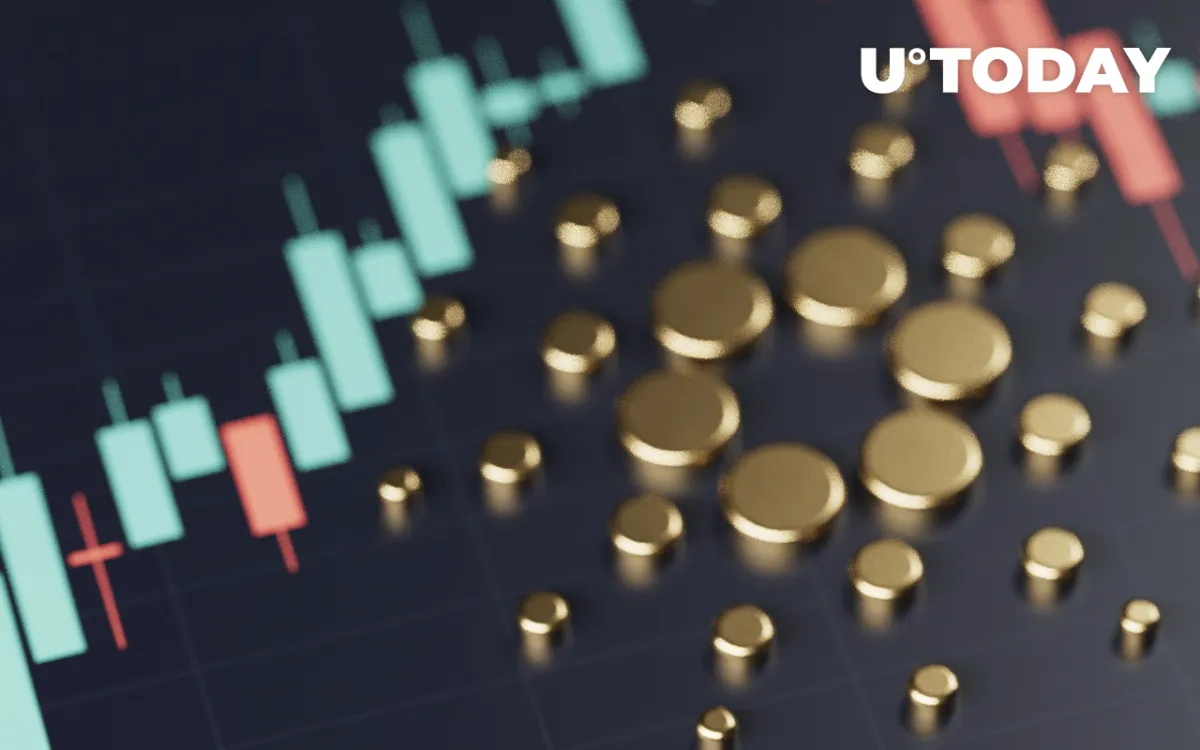 Cardano (ADA) Sees Significant Rise in Transaction Volume, Signaling Return of Whales