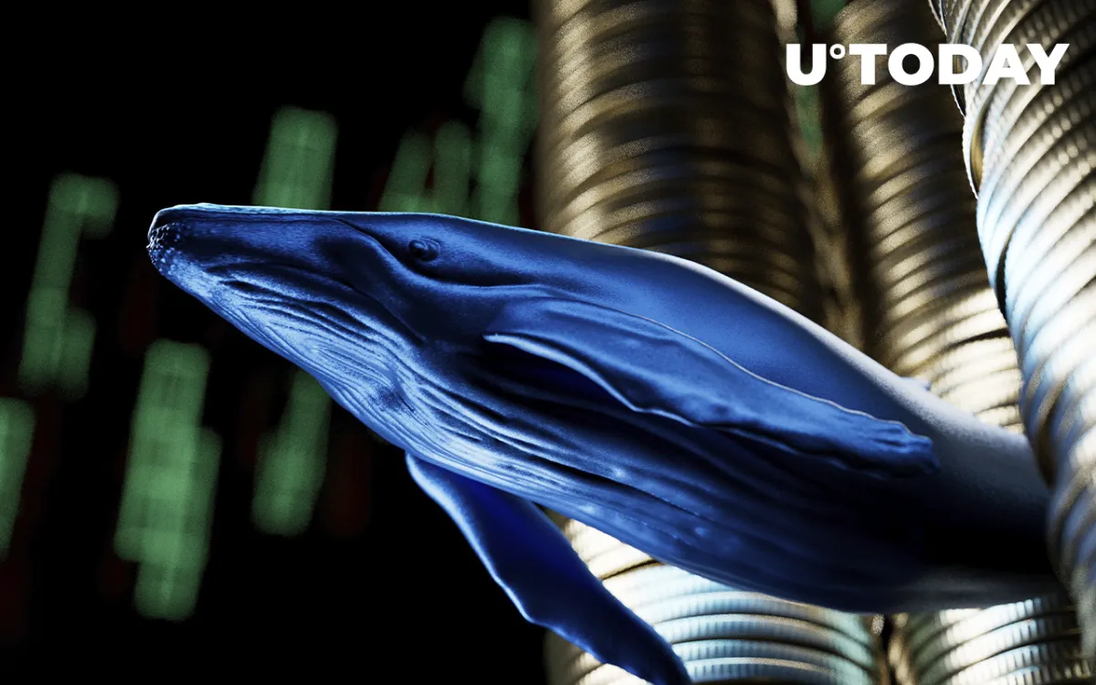 Cardano Whales Become Active as Price Attempts Rebound: Details