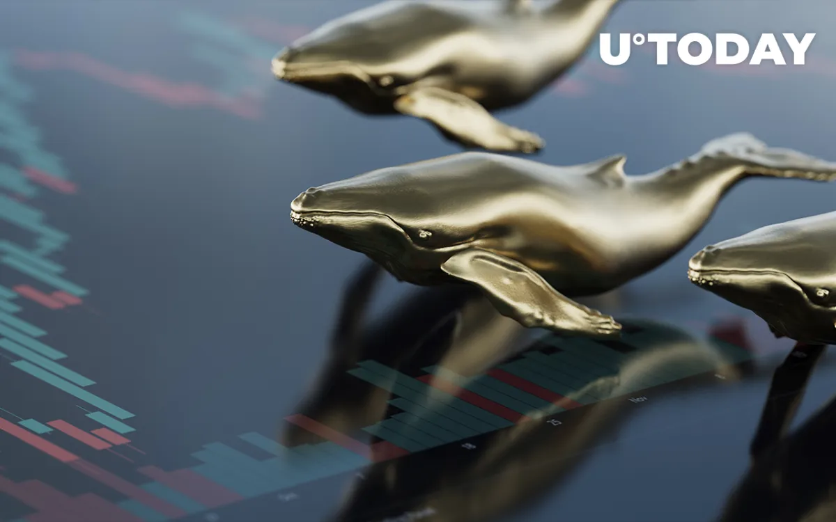 SHIB, MATIC, SAND, FTT Are Among Top 100 ETH Whales’ Holdings: Report