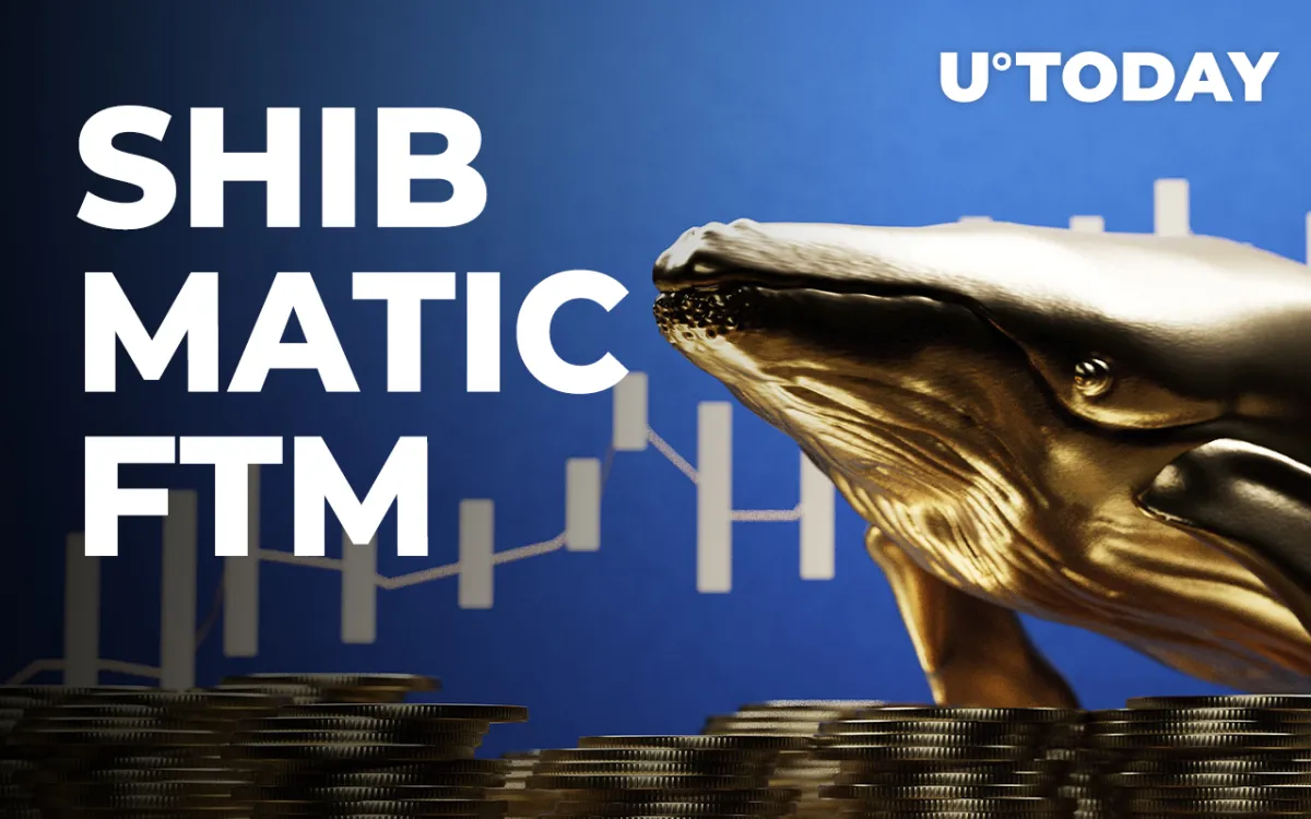 SHIB, MATIC, FTM Among Top Acquisitions of Whales in Past 24 Hours: Report