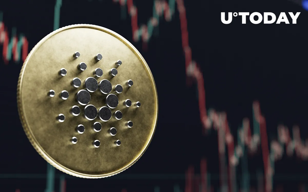 Cardano Records 13% Spike in Total Value Staked Amid Ecosystem Inflows: Details