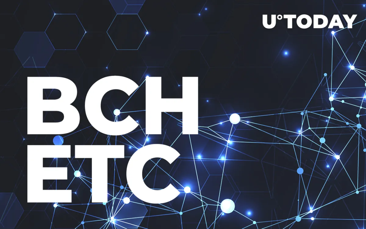 Bitcoin and Ethereum Spinoffs, BCH and ETC, Are Leading Altcoin Rebound: Here's Why