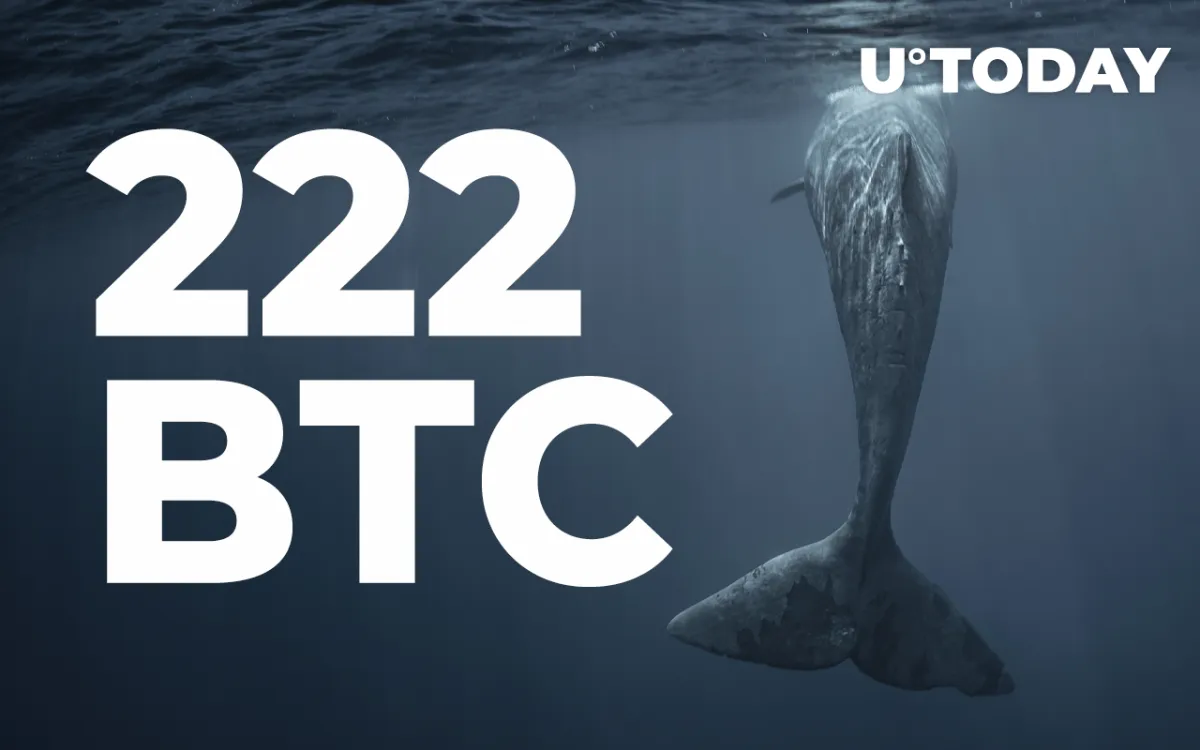 222 BTC Bought by Top Whale as Bitcoin Returns to $42K