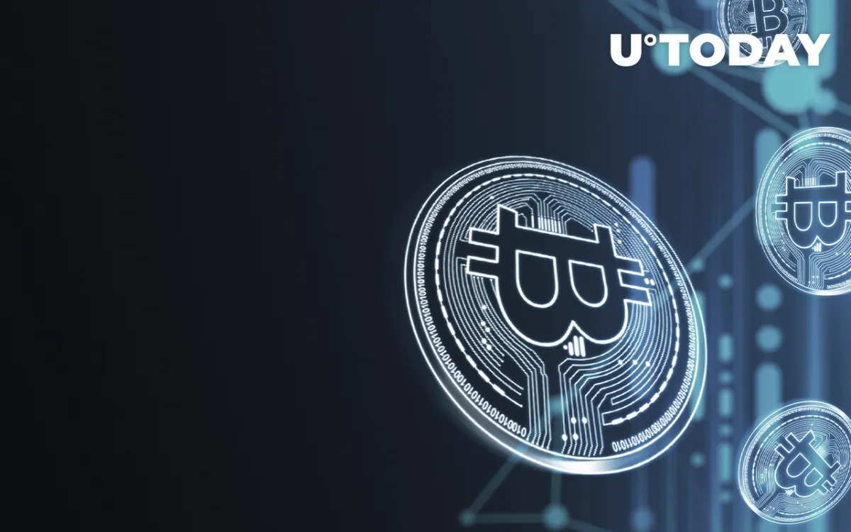 Bitcoin Broke New Record: 40 Million Holders and Counting