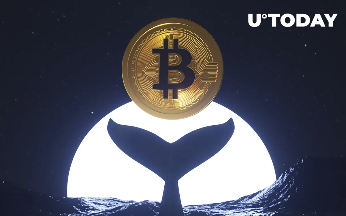 Dormant Bitcoin Whale Awakens After Almost 10 Years 