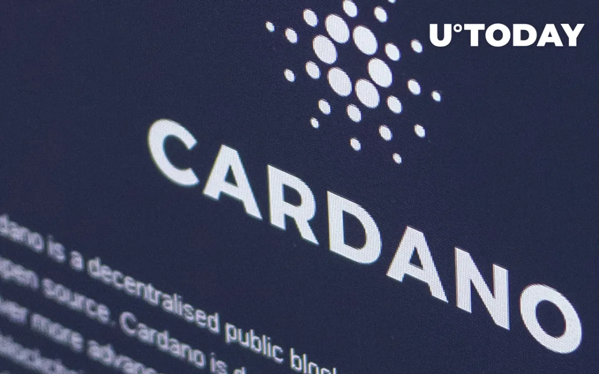 Cardano Attracts More Institutional Investors as On-Chain Transaction Volumes Increase 50 Times