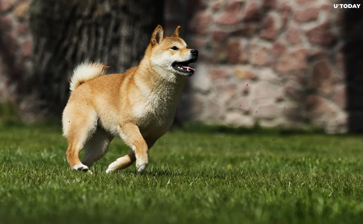 Shiba Inu Soars 18% as Bitcoin Reclaims $48,000