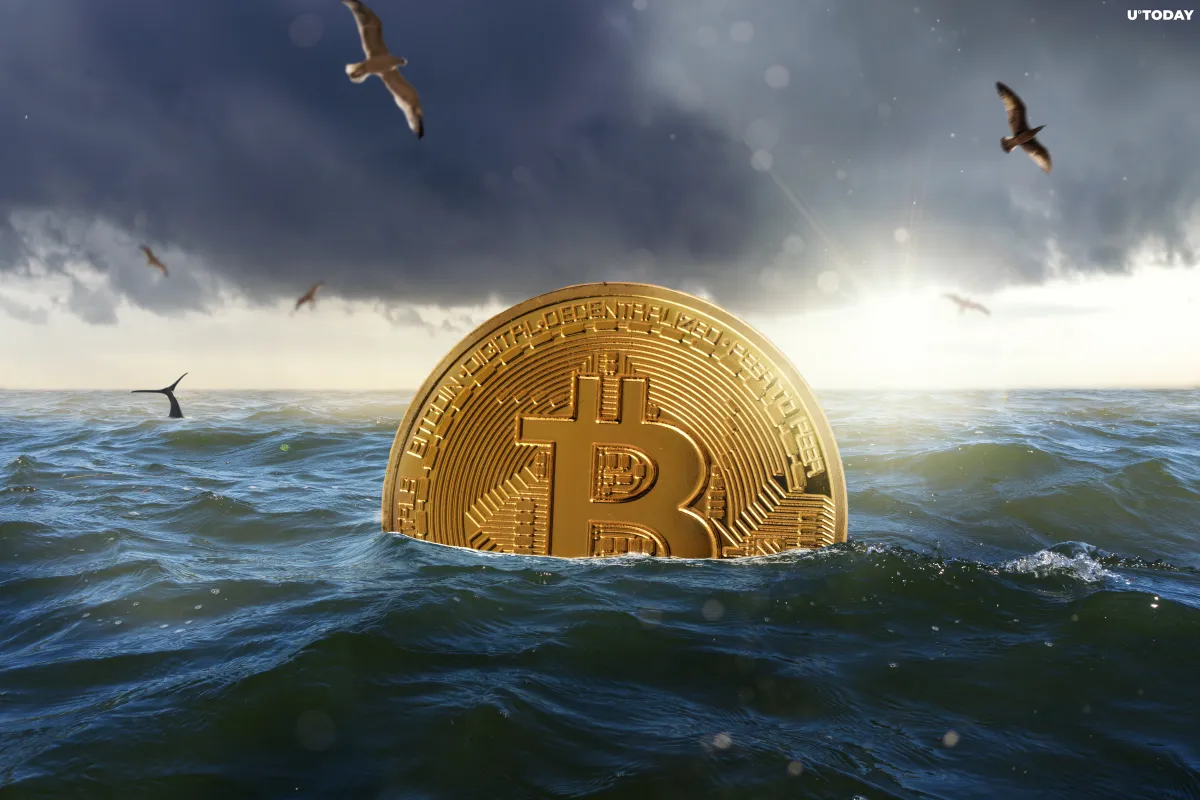 Satoshi-Era Bitcoin Wallet Suddenly Activates After 11 Years